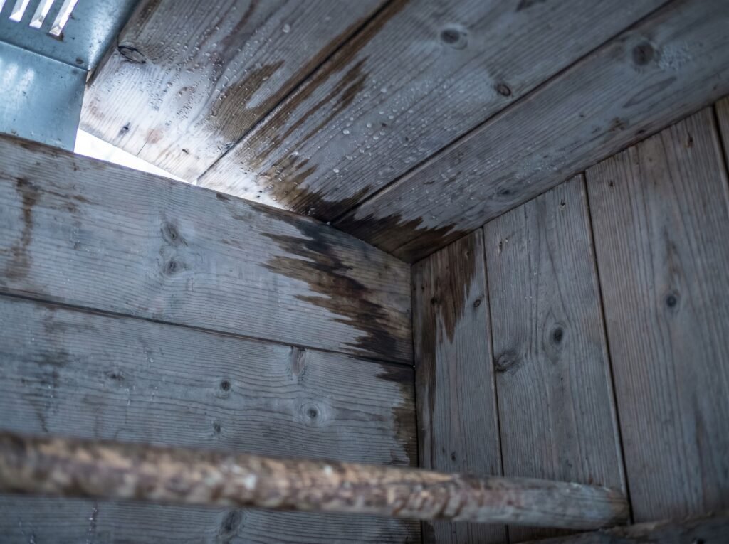 Condensation droplets on uninsulated chicken coop ceiling boards on a cold morning