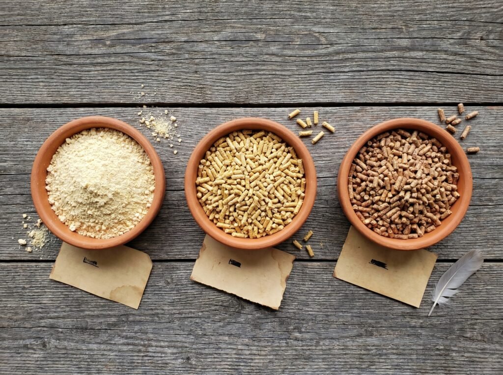 three bowls of chick starter, grower, and layer feed comparing life stage feed types