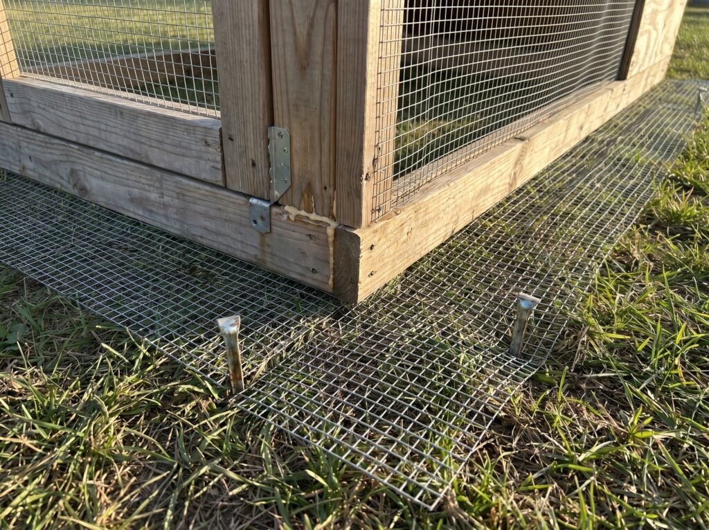 Hardware cloth skirt apron extending from base of chicken tractor to deter digging predators