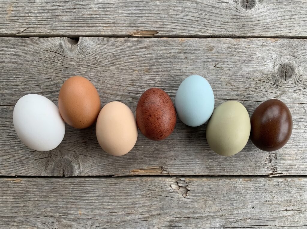 seven fresh eggs in a range of colors including white, brown, blue, green, and dark chocolate on barn wood