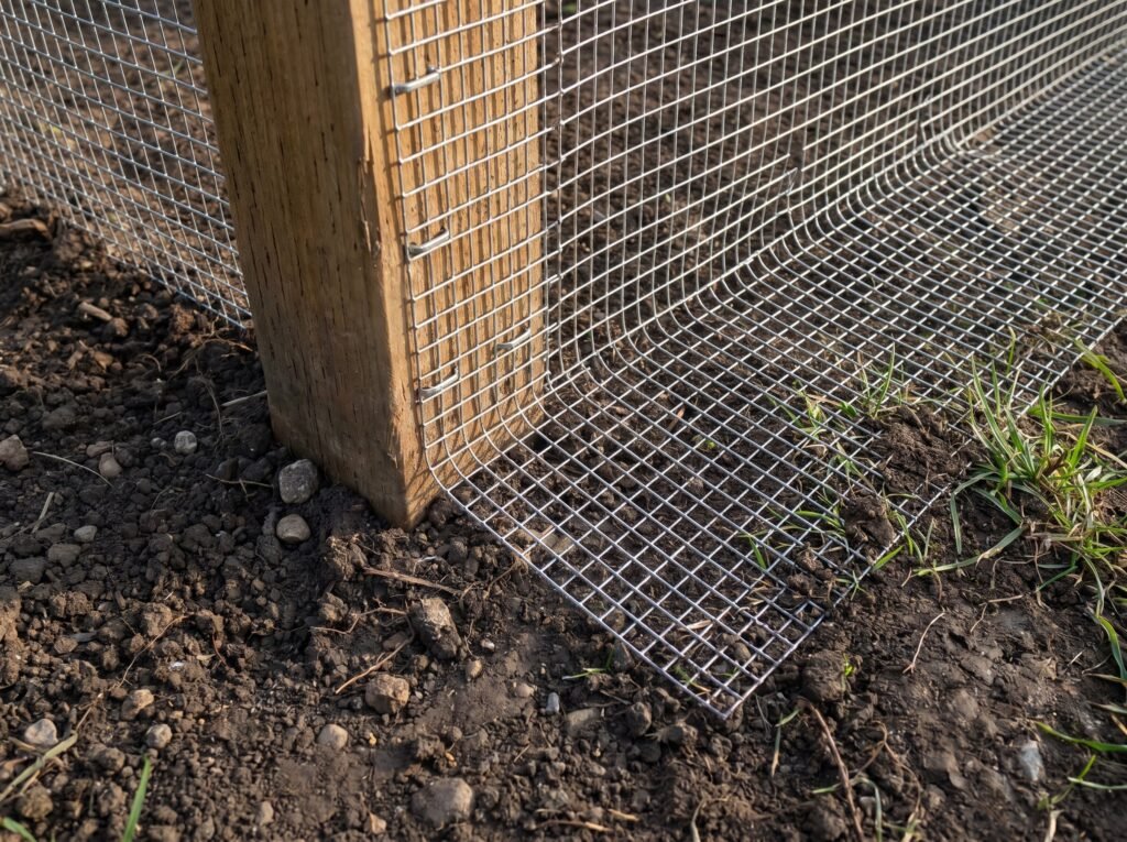 Hardware cloth apron bent outward at coop base to prevent predators from digging under the run