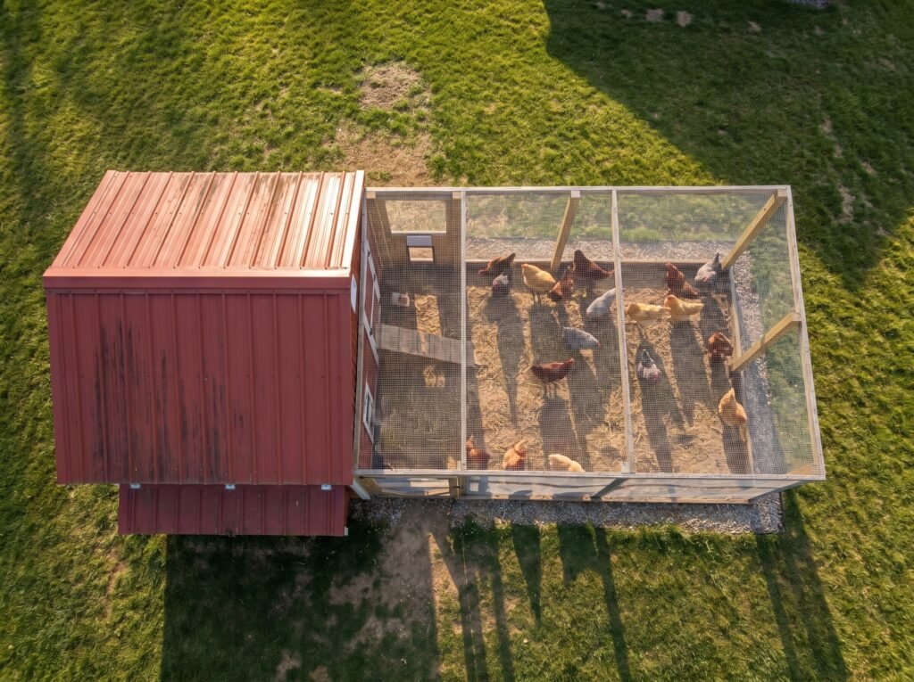 Aerial view of a large backyard chicken coop with 200-square-foot attached run and 20 hens