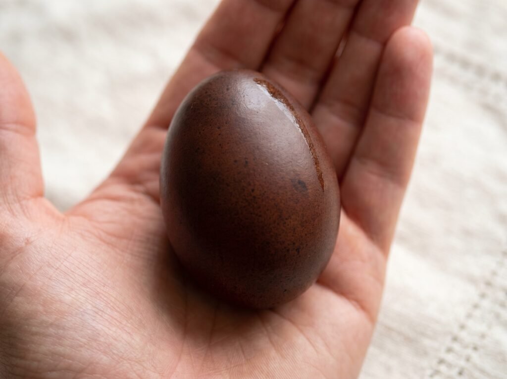 Single dark chocolate Marans egg in an open palm showing the fresh-laid surface bloom