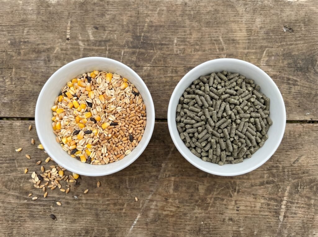 bowl of mixed scratch grains beside a bowl of layer pellets showing the nutritional difference